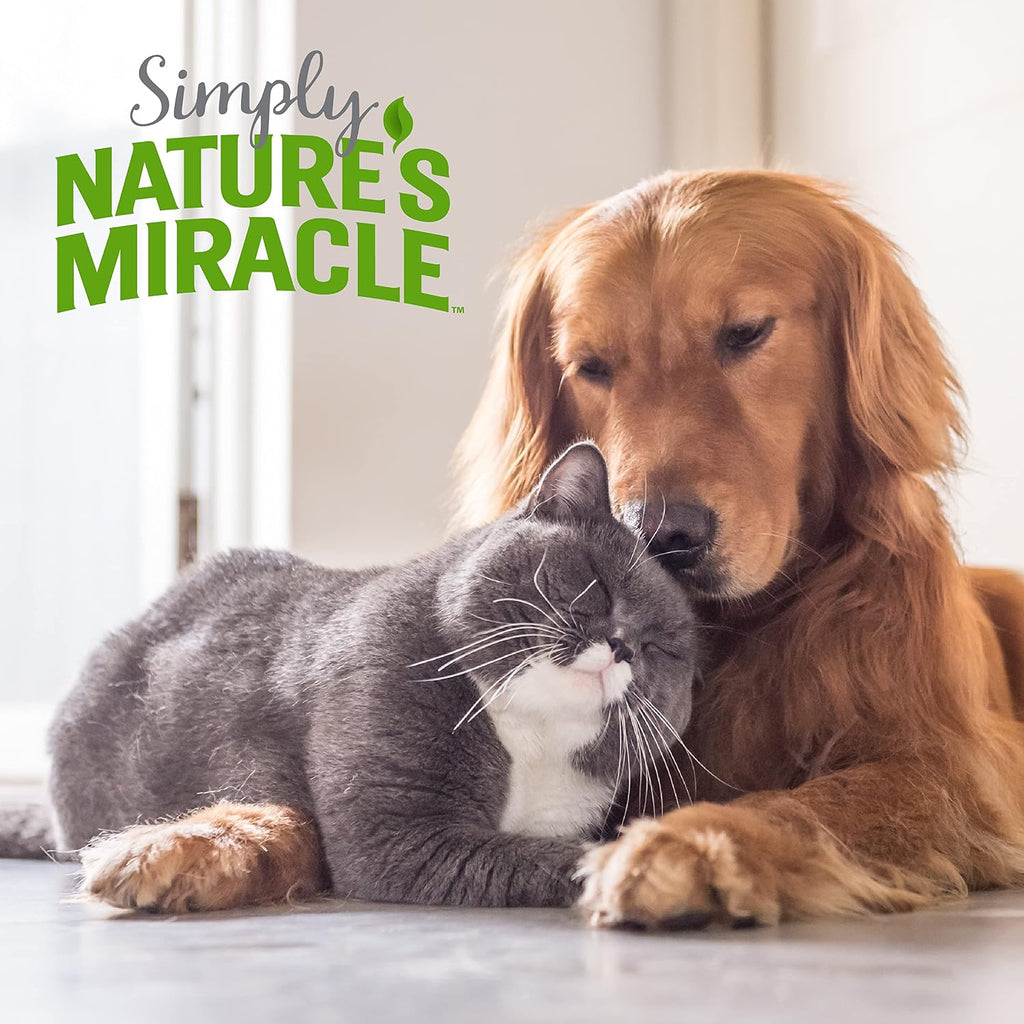 Brand logo and 86 percent plant-derived surfactants claim on bottle