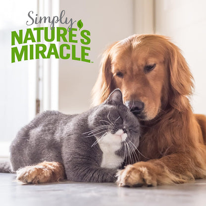 Brand logo and 86 percent plant-derived surfactants claim on bottle