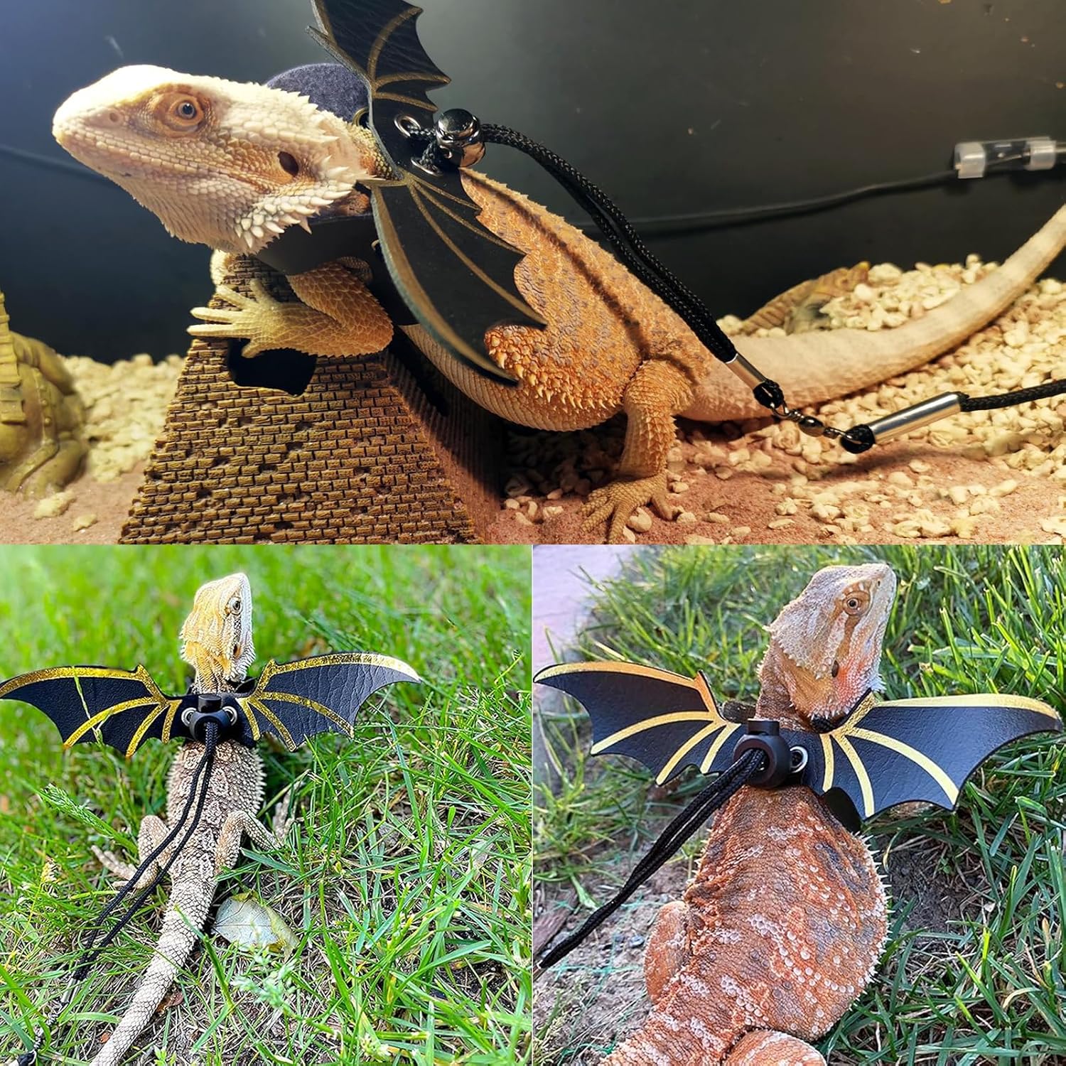 Bearded Dragon Carrier with Harness and Leash Set Large Small Animal Carrier Backpack Bubble Window Portable Small Pet Carrier for Reptile Lizard Rabbit Bird Guinea Pig Cat Travel Walking - Image 5
