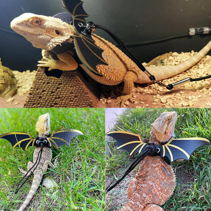 Bearded Dragon Carrier with Harness and Leash Set Large Small Animal Carrier Backpack Bubble Window Portable Small Pet Carrier for Reptile Lizard Rabbit Bird Guinea Pig Cat Travel Walking - Image 5