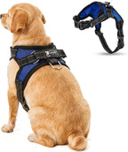 Copatchy no pull harness packaging and product view