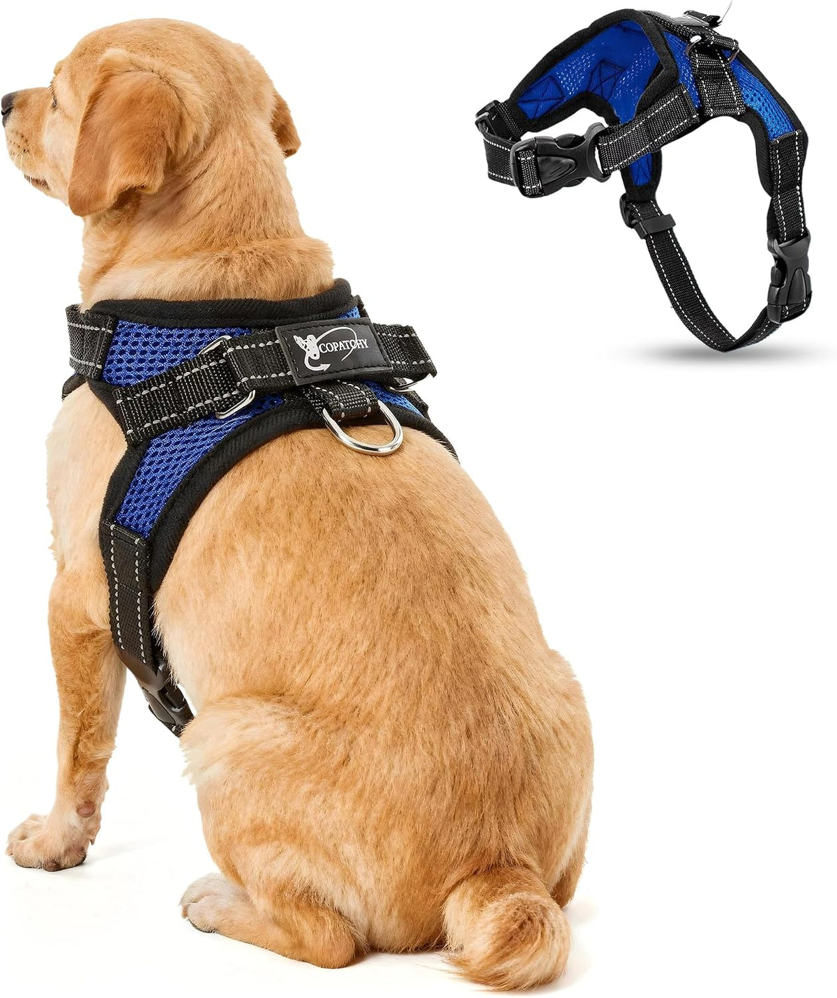 Copatchy no pull harness packaging and product view