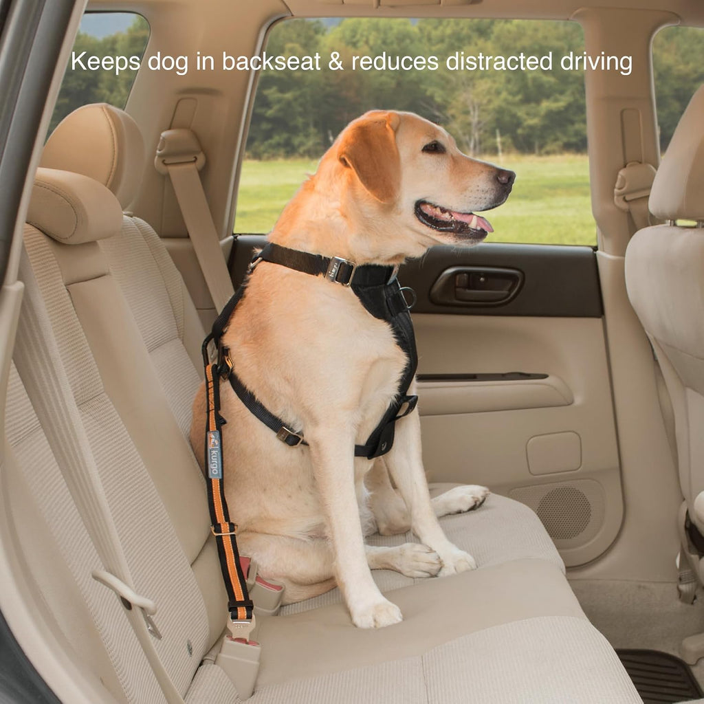 Kurgo dog car seatbelt strap hardware detail