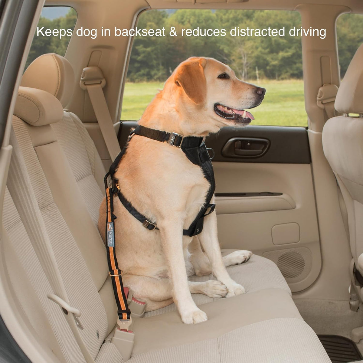 Kurgo dog car seatbelt strap hardware detail