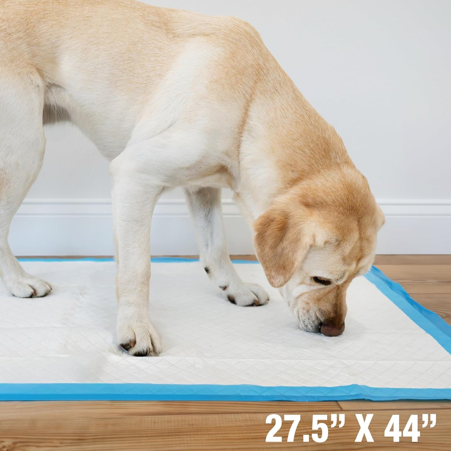 Four Paws Wee Wee premium imported dog pee pads eighteen count pack layout