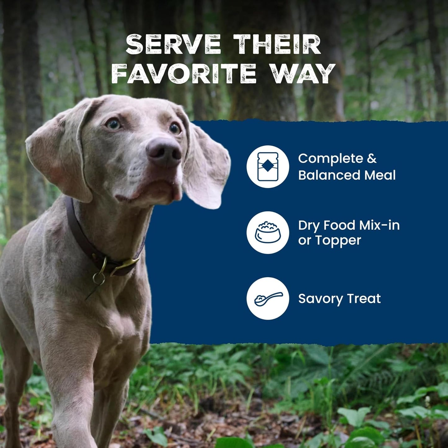 Blue Buffalo Wilderness Wolf Creek adult wet dog food stack view.