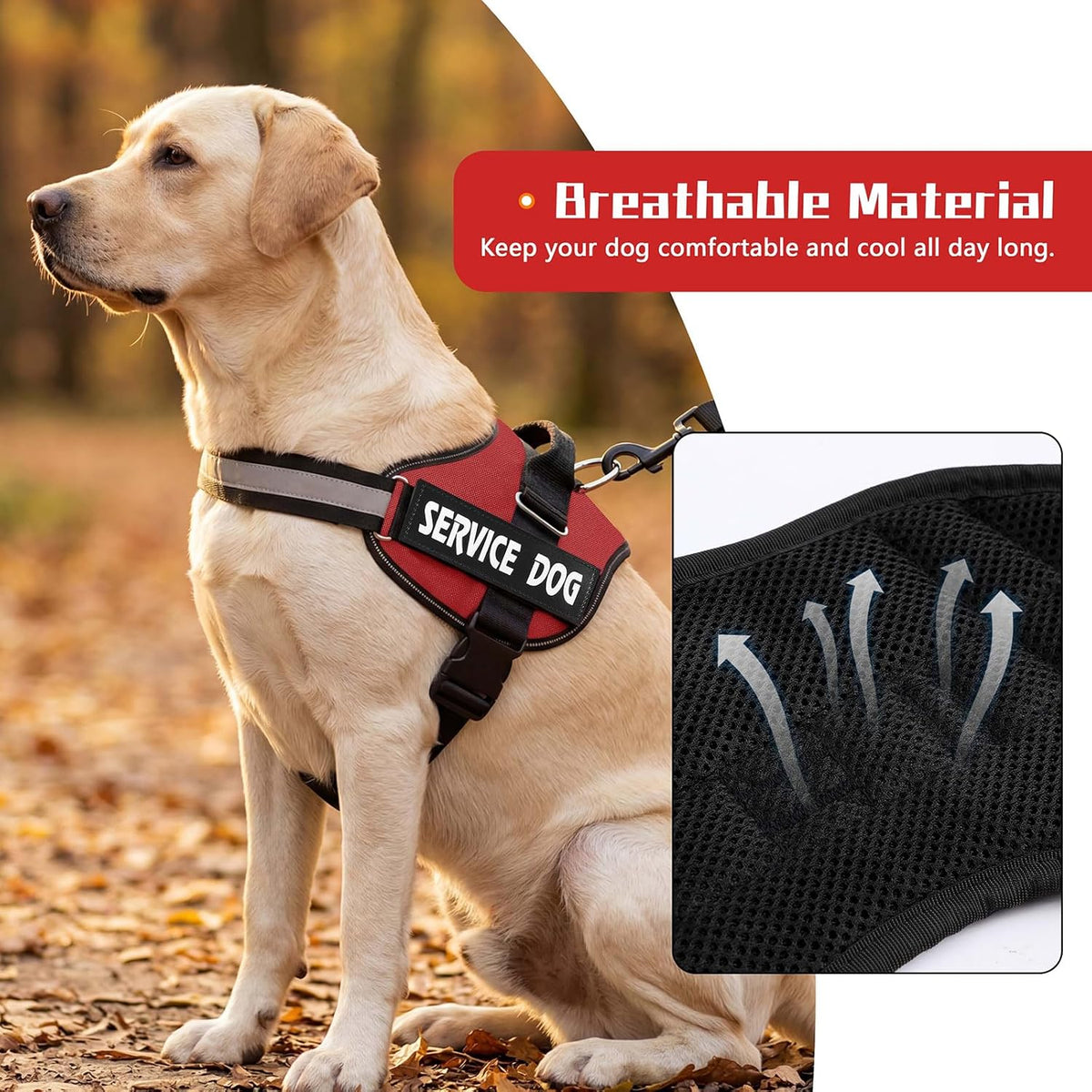 Adjustable straps and quick release buckle detail on Mumupet harness