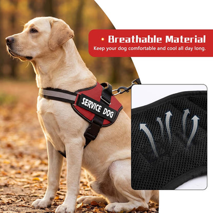 Adjustable straps and quick release buckle detail on Mumupet harness