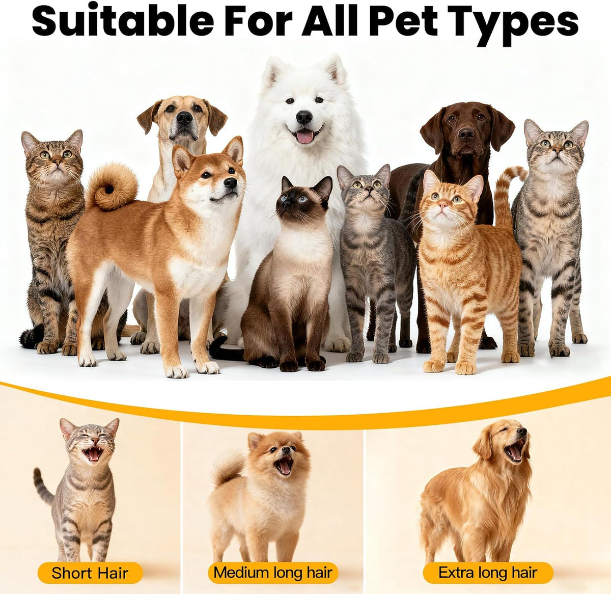 FIXR PG01 professional pet vacuum container showing the filtration system
