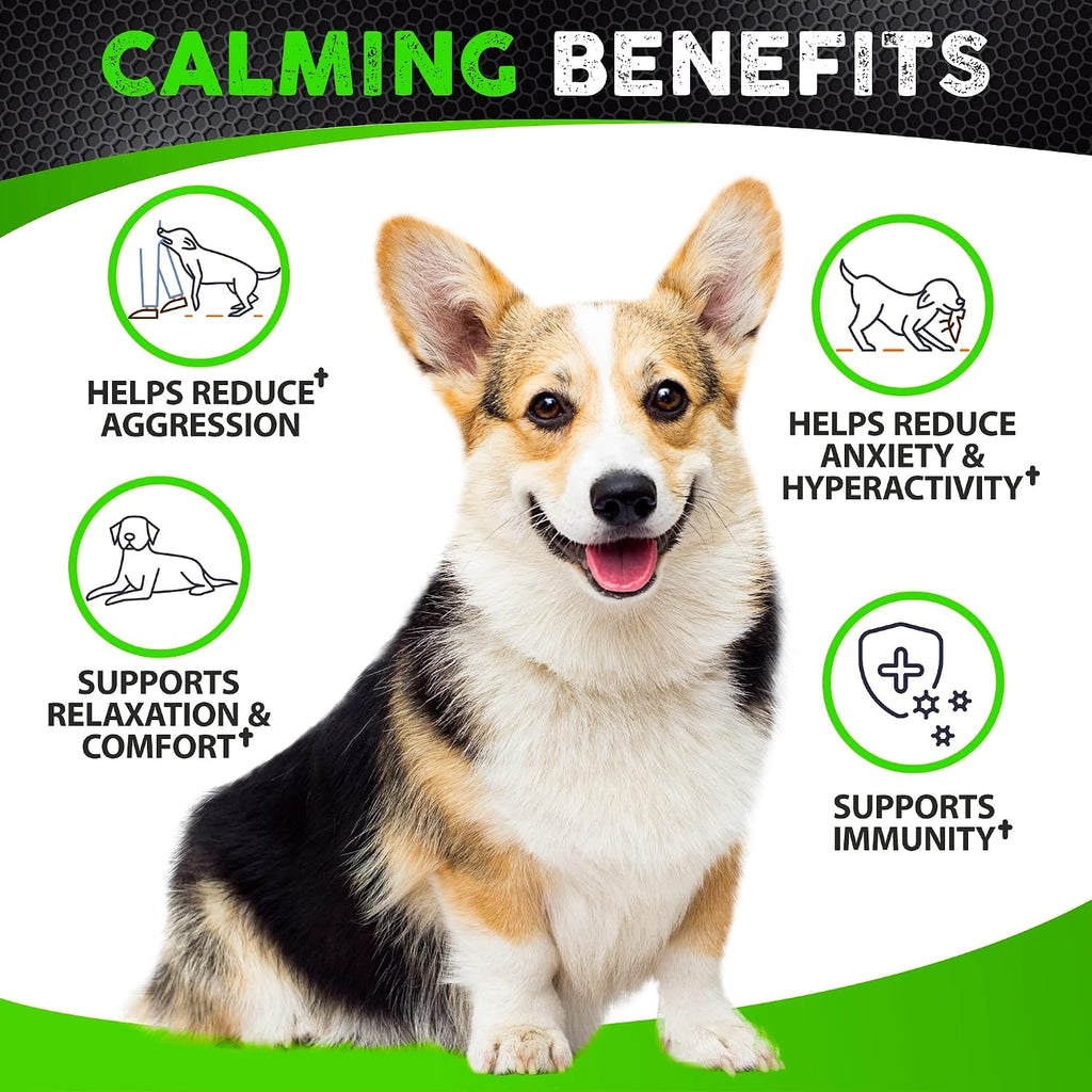 Dog anxiety relief soft chews jar with beef flavor details.
