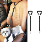 PawsPawty adjustable nylon dog restraint for car headrest