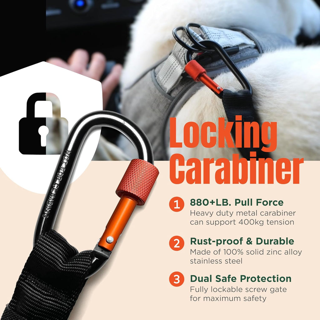 Arca Pet dog safety restraint connected to car buckle