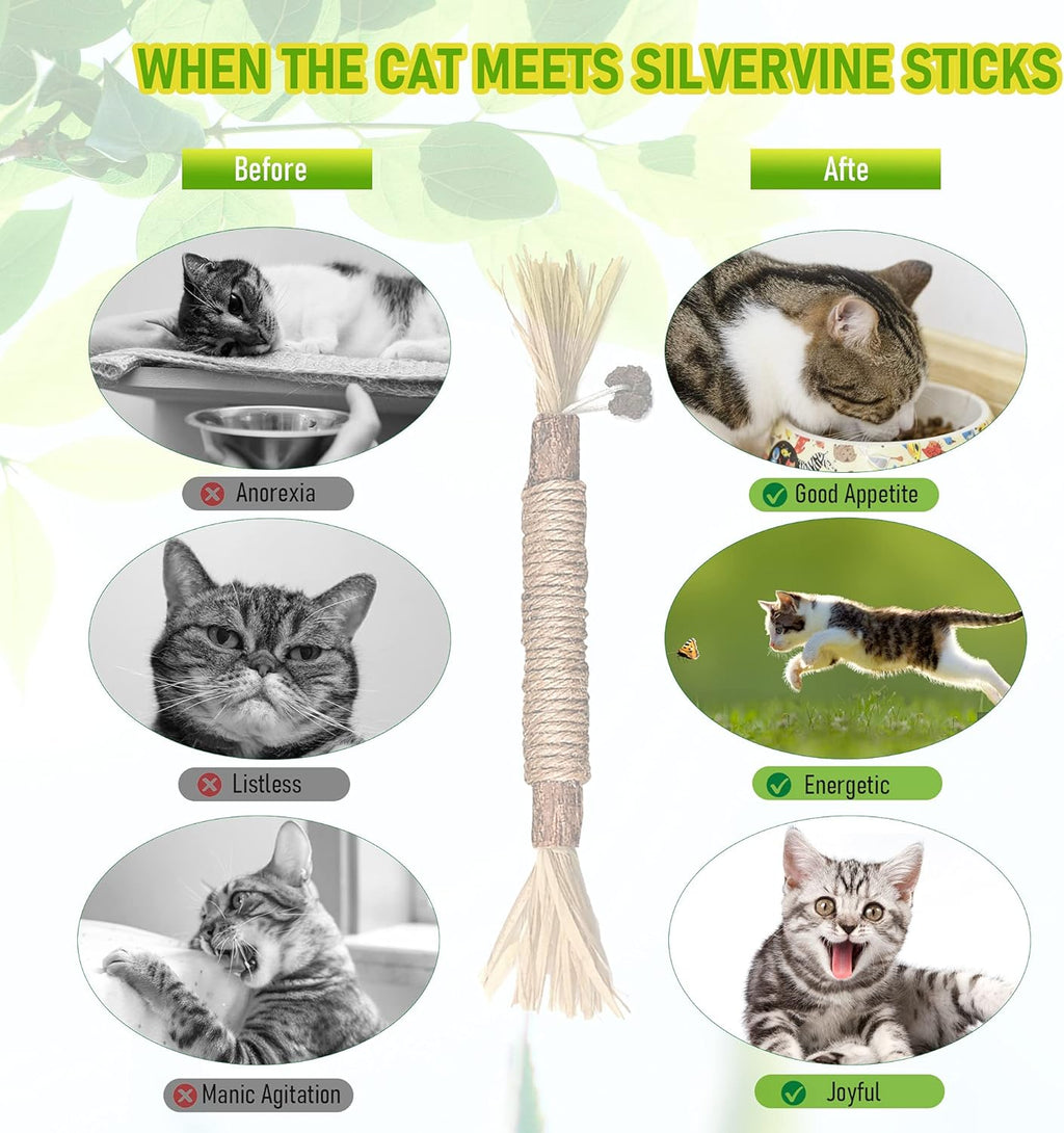 Top view of natural Matatabi cat teething sticks