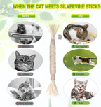 Top view of natural Matatabi cat teething sticks