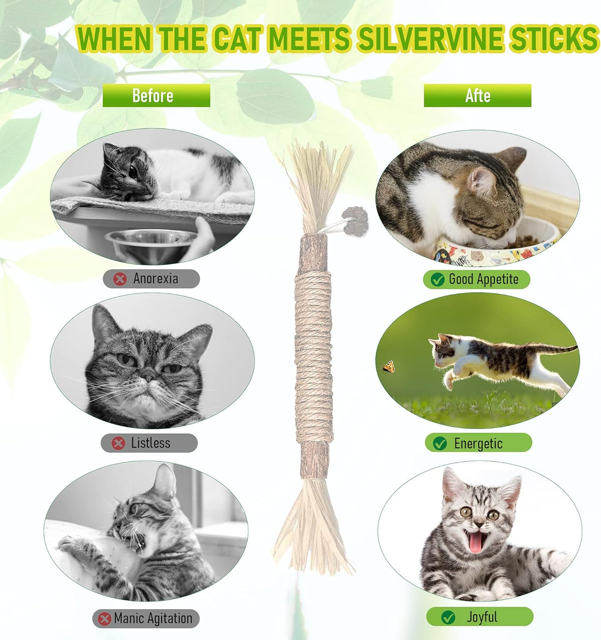 Top view of natural Matatabi cat teething sticks
