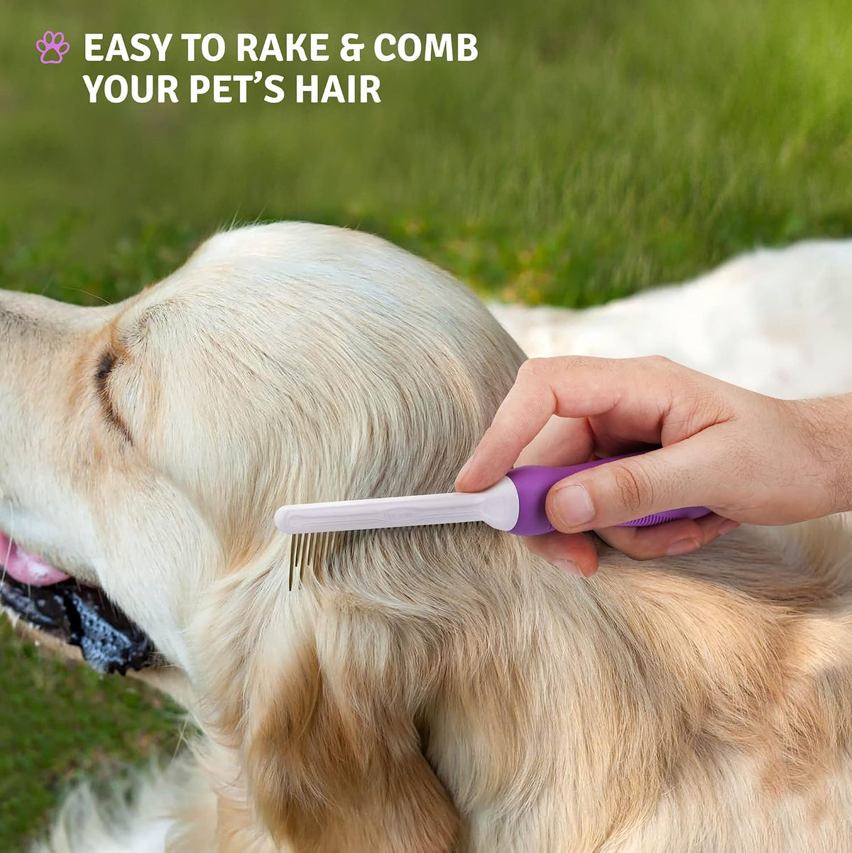 Poodlie pet grooming kit packaging and accessories layout