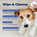 Covetrus medicated wipes for dogs and cats displaying chlorhexidine and ketoconazole active ingredients