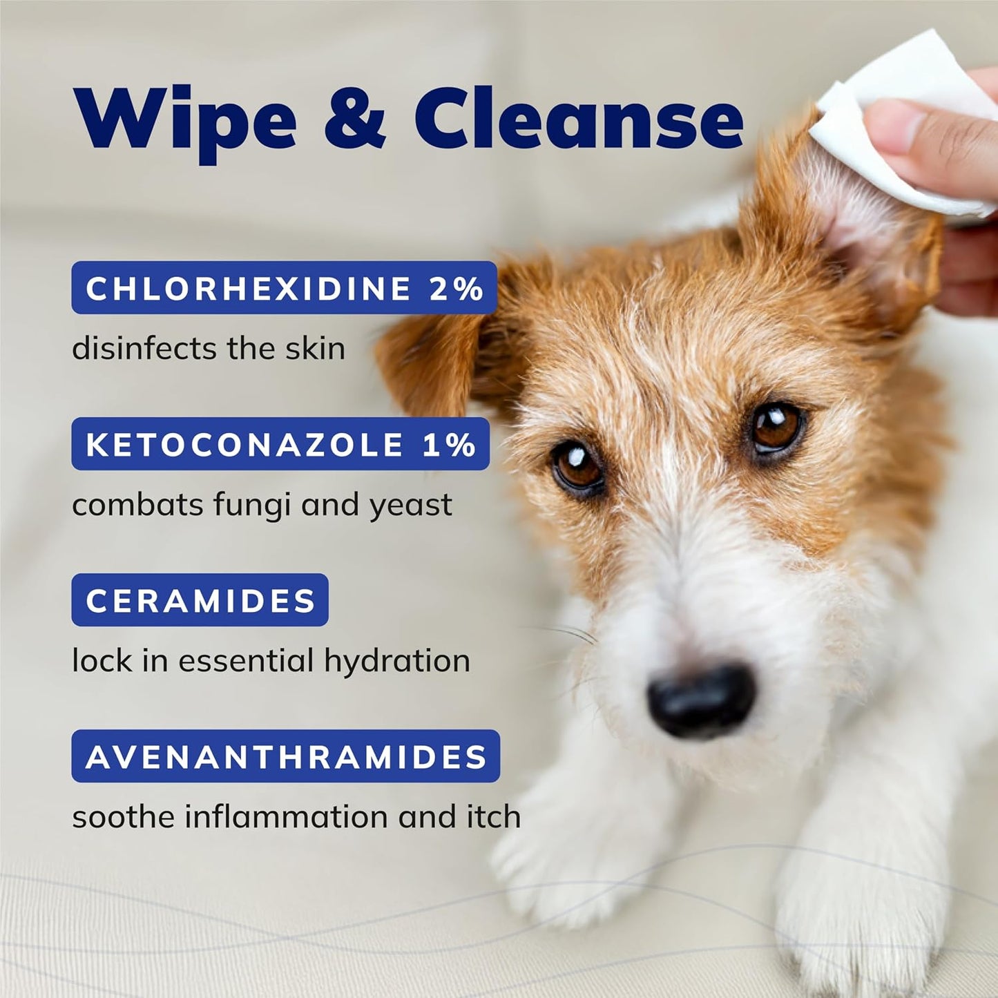 Covetrus medicated wipes for dogs and cats displaying chlorhexidine and ketoconazole active ingredients