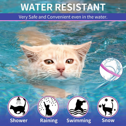 Safe essential oil flea collar for cats