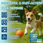 Back label of Lerqua dog flea prevention with application instructions for five to twenty two pounds