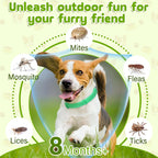 Natural essential oil flea prevention collar for dogs
