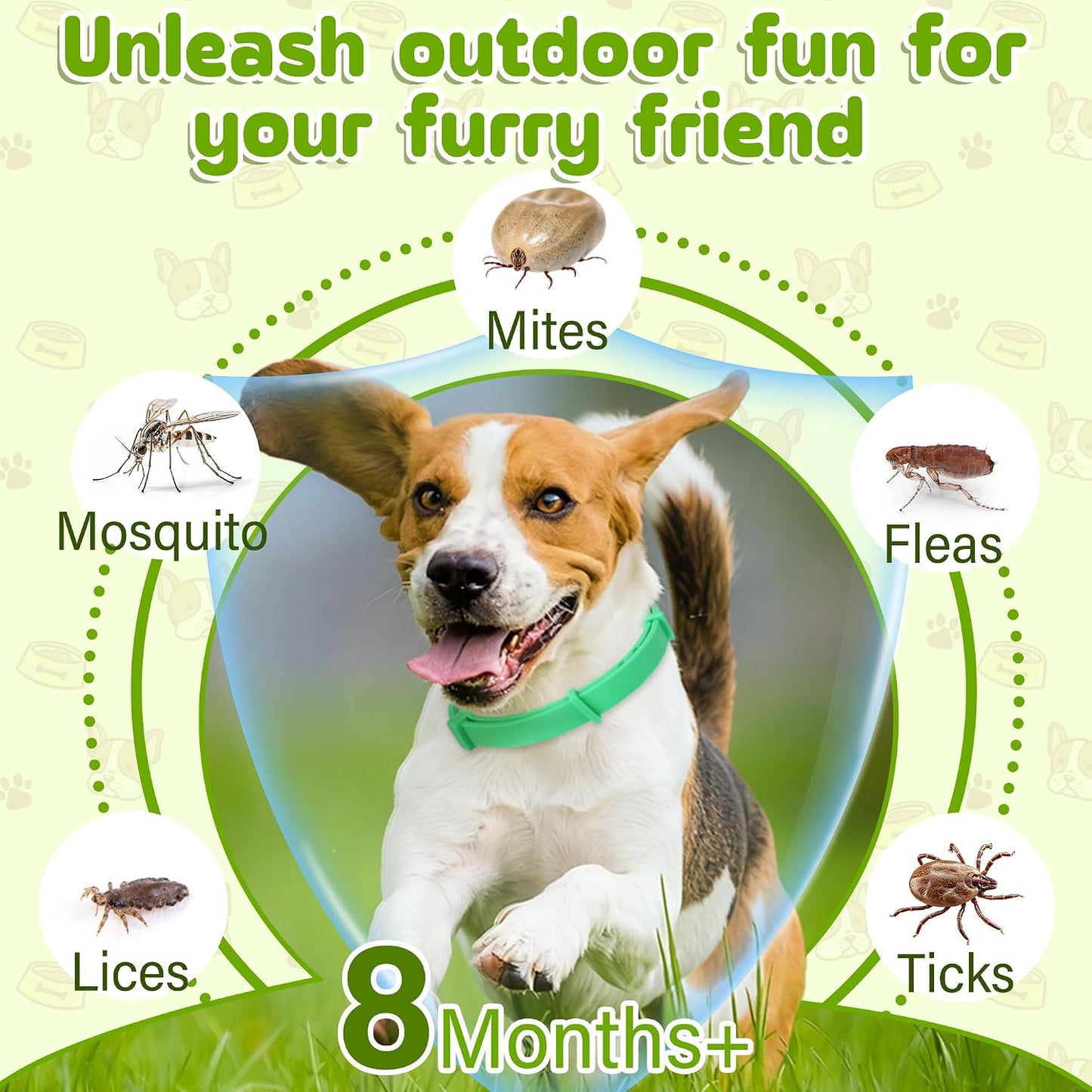 Natural essential oil flea prevention collar for dogs