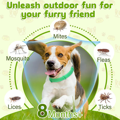 Natural essential oil flea prevention collar for dogs