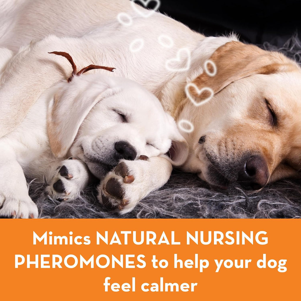 Back of the box details for ThunderEase drug free dog stress relief solution