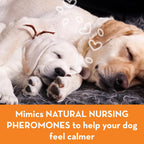 Back of the box details for ThunderEase drug free dog stress relief solution