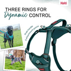 Close up of Halti dog harness grab handle and D-rings