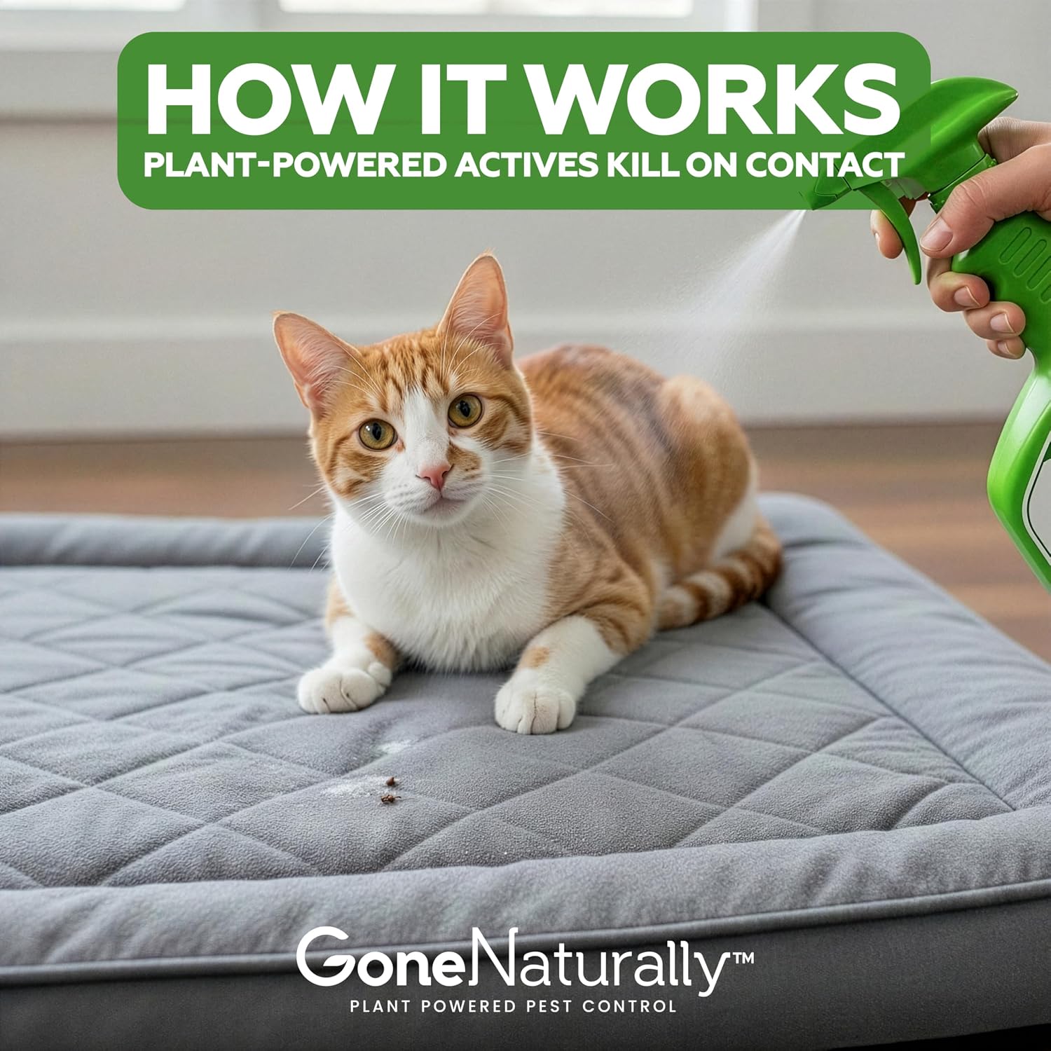 Natural flea and tick control for Indian pet homes