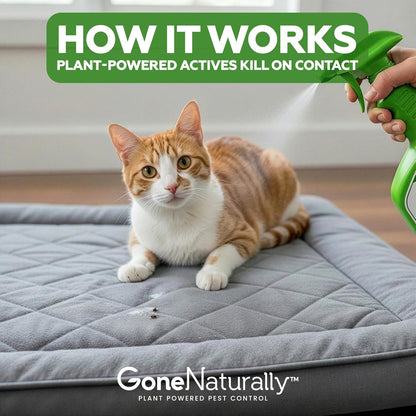 Natural flea and tick control for Indian pet homes