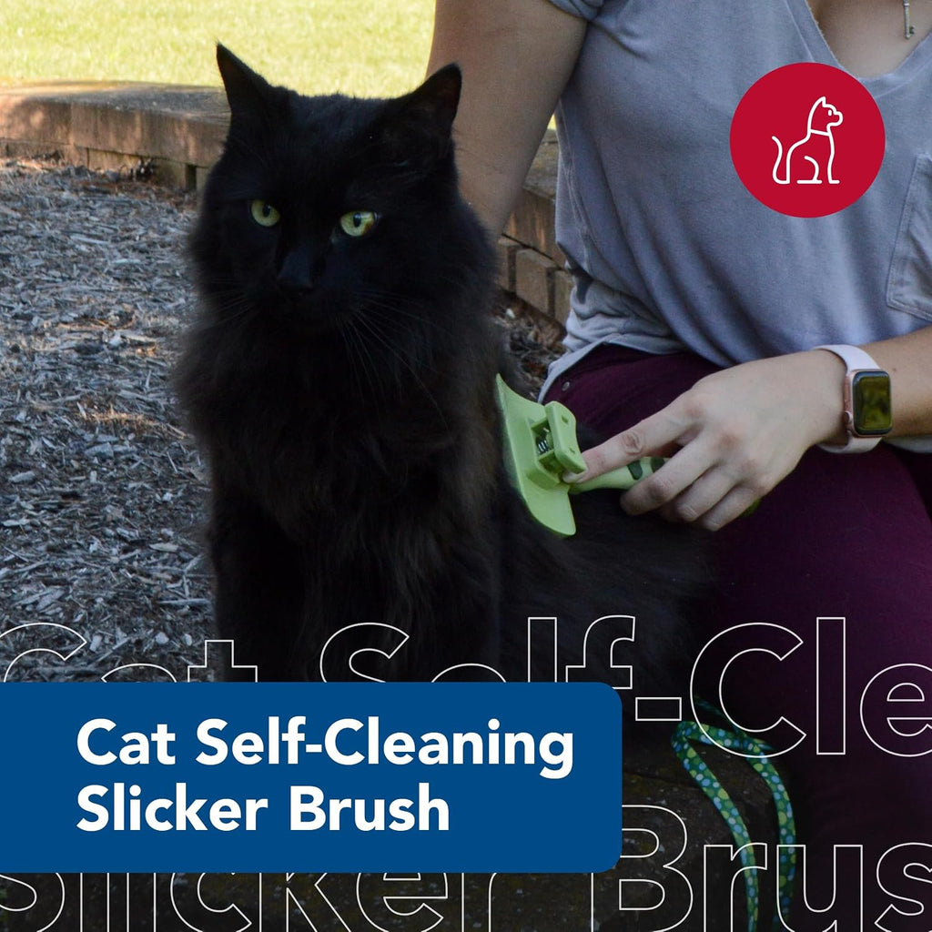 Coastal cat slicker brush showing stainless steel pins