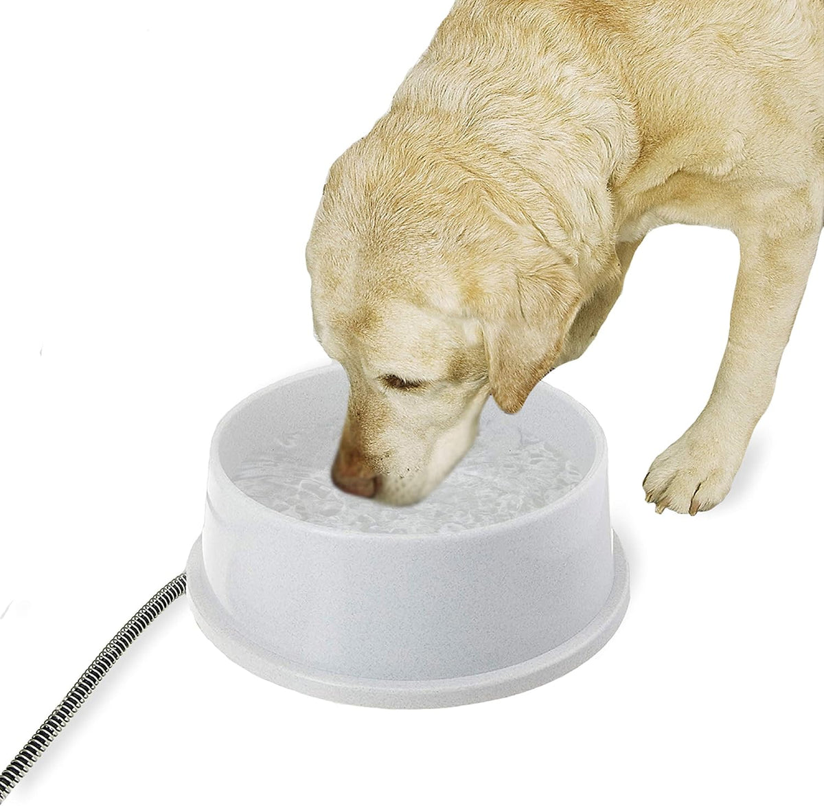 K&H Pet Products Thermal-Bowl Heated Water Bowl for Cats & Dogs Outside, Safety Listed Outdoor Heated Dog Dish for Pets, Automatic No Freeze, Anti Chew Cord - 96 Ounces Blue 25W - Image 9