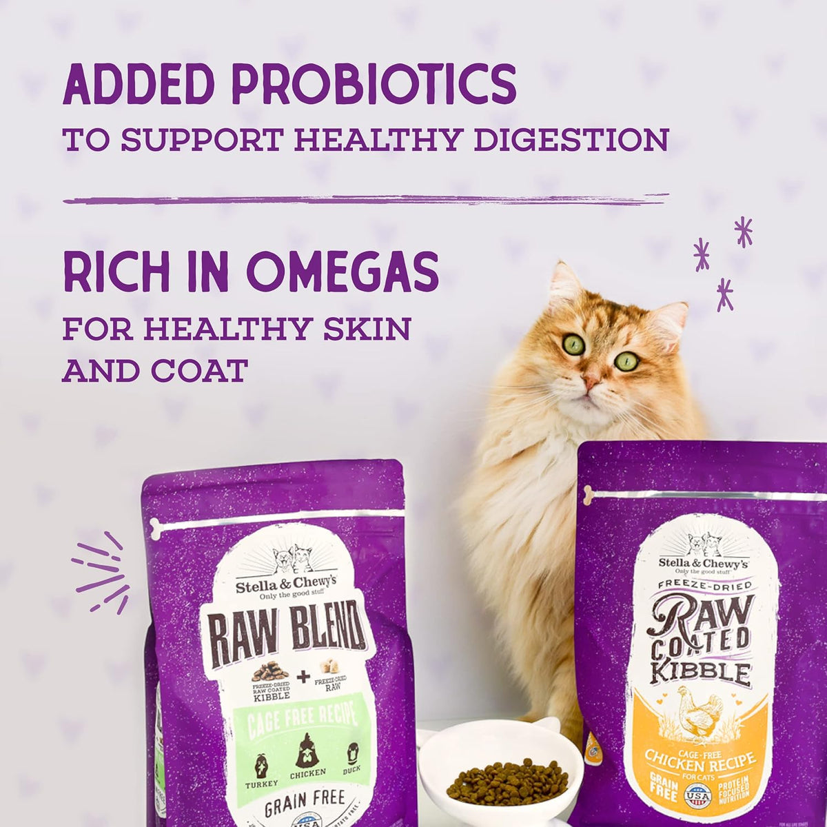 Stella & Chewy's Raw Coated Cat Food - High Protein, Grain-Free Kibble with Wild-Caught Salmon - Premium Digestive Support with Probiotics - Natural Small Kibble - Perfect for Picky Eater - 10 lb Bag - Image 7