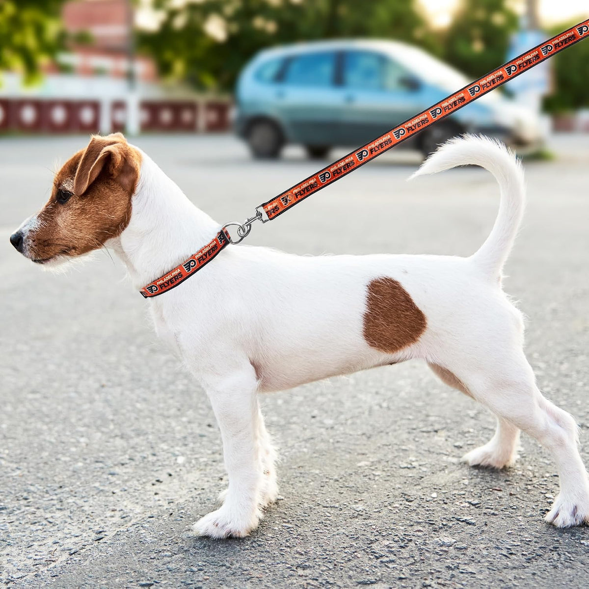 Pets First NHL hockey fan walking lead flat lay