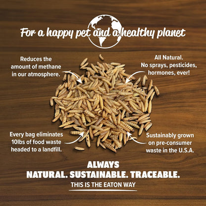 Eaton Pet and Pasture grubs in a wooden bird feeder