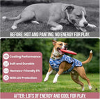 Side profile of dog wearing pink Lucolove cooling jacket