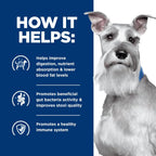 Premium imported Hills Prescription Diet digestive care dry dog food for Indian pet owners