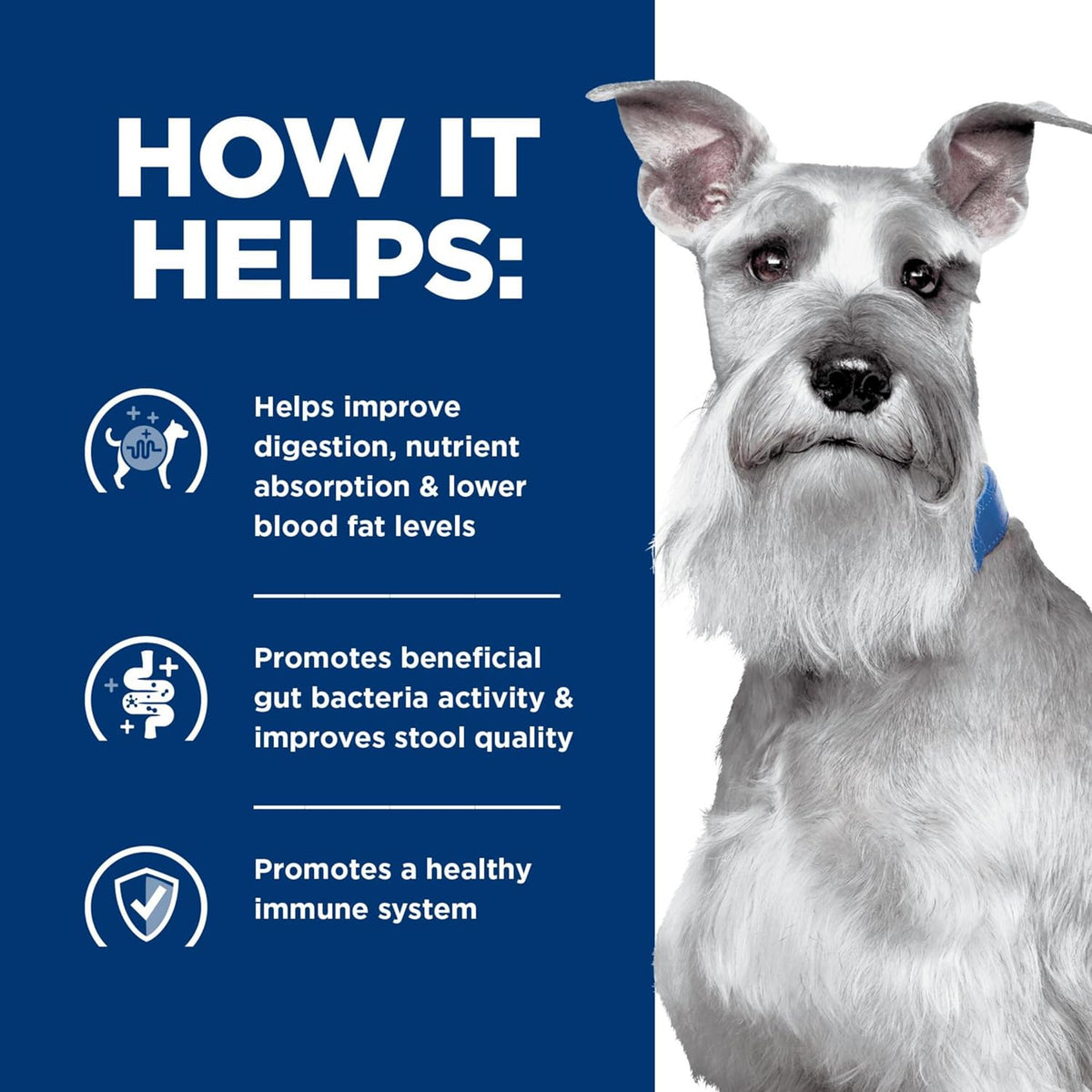 Premium imported Hills Prescription Diet digestive care dry dog food for Indian pet owners