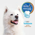 Nylabone plaque and tartar control dog toothpaste close up