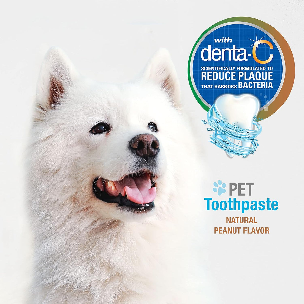 Nylabone plaque and tartar control dog toothpaste close up