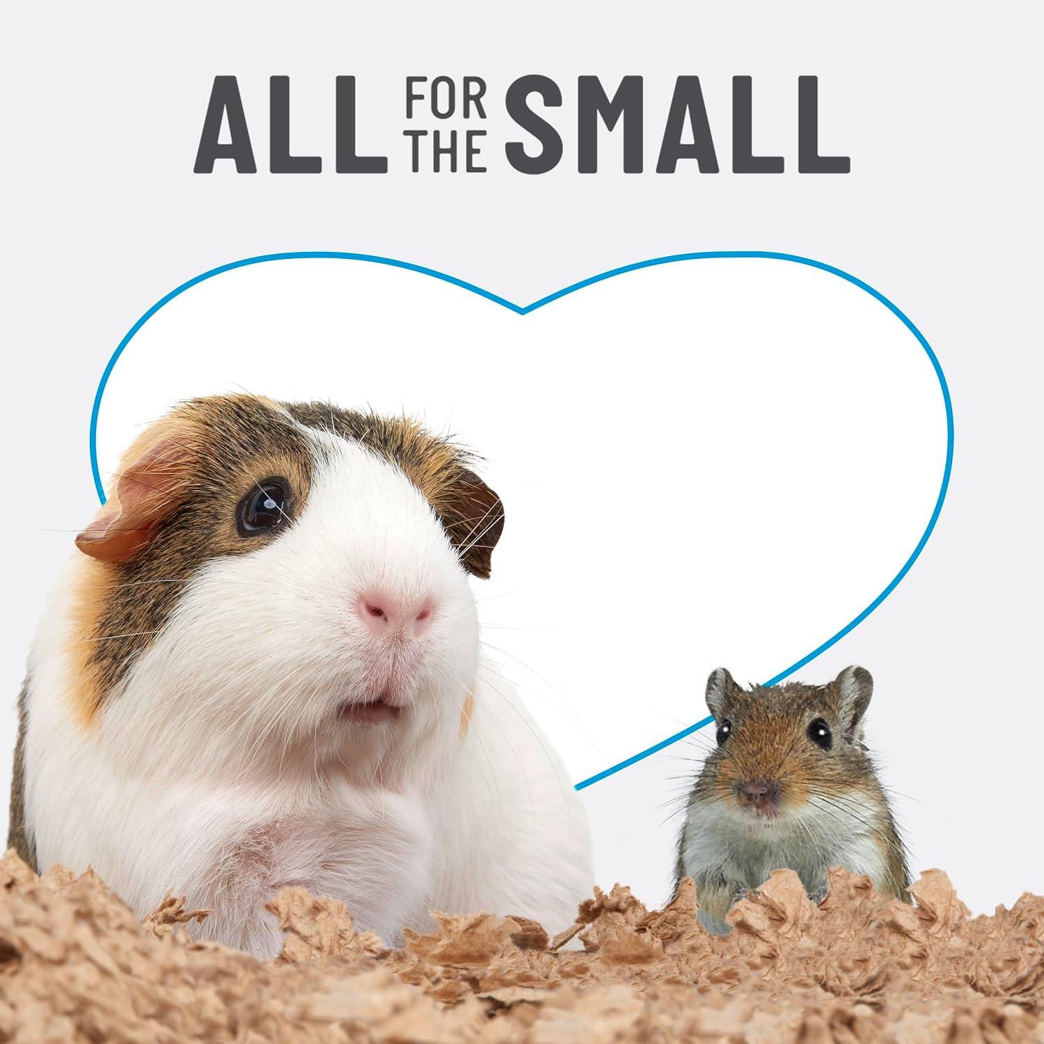 Dust free paper bedding in pet enclosure