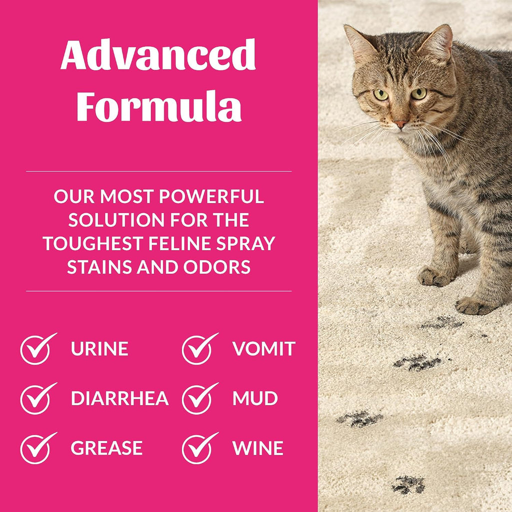Eco friendly plant based cat stain remover spray for carpets and upholstery