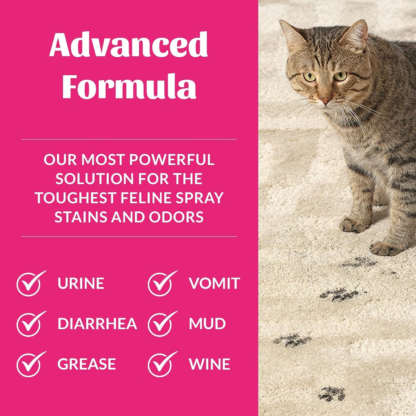 Eco friendly plant based cat stain remover spray for carpets and upholstery