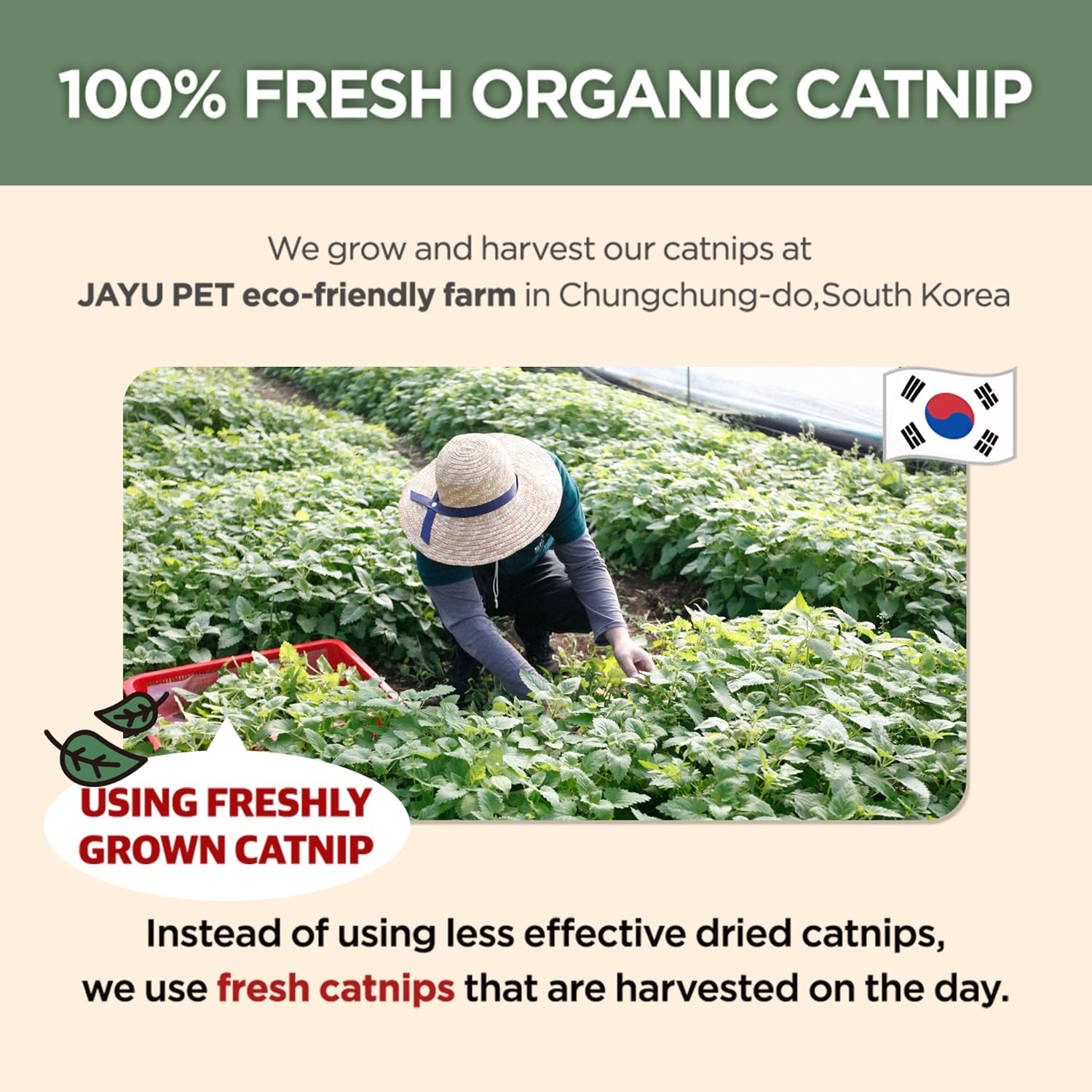 Jayu Pet transparent liquid catnip mist packaging close up