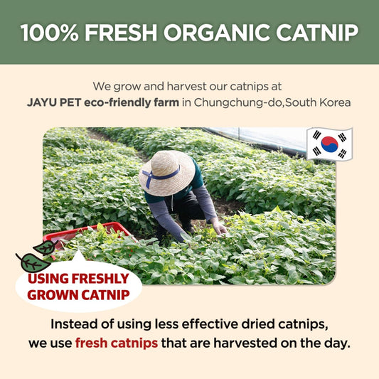 Jayu Pet transparent liquid catnip mist packaging close up
