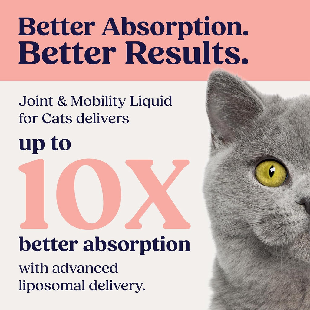 Liquid joint supplement bottle with syringe for cats
