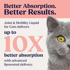 Liquid joint supplement bottle with syringe for cats