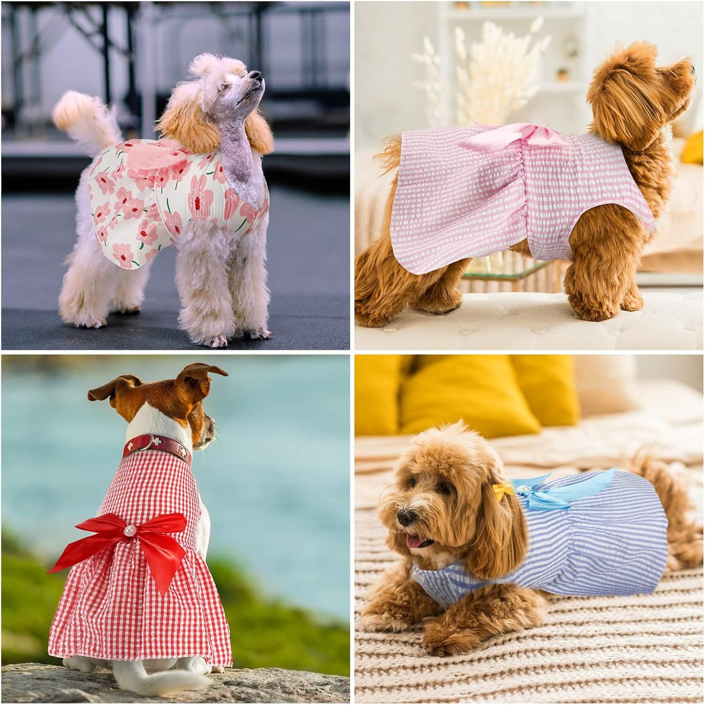 Comfortable polyester princess dresses for small puppies close up look